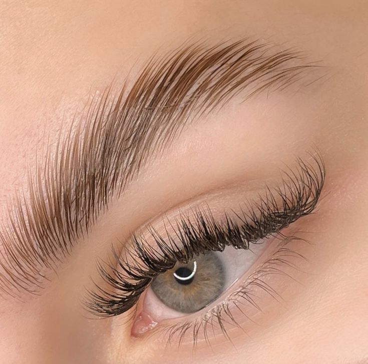 Brow Lamination